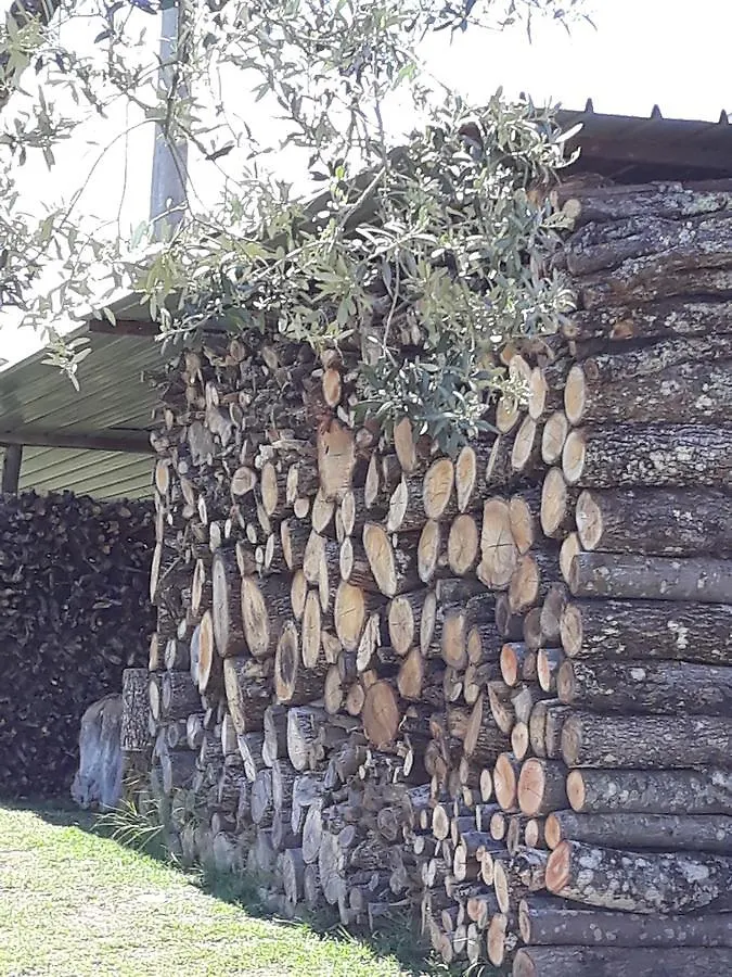Séjour à la ferme Villa La Vecchia Quercia à Pergine Valdarno